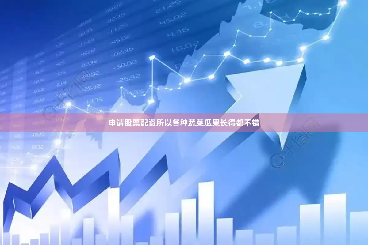 申请股票配资所以各种蔬菜瓜果长得都不错